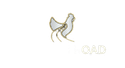 Chicken  Road